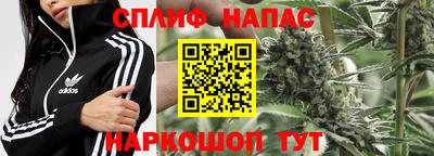 молекула духа Бийск